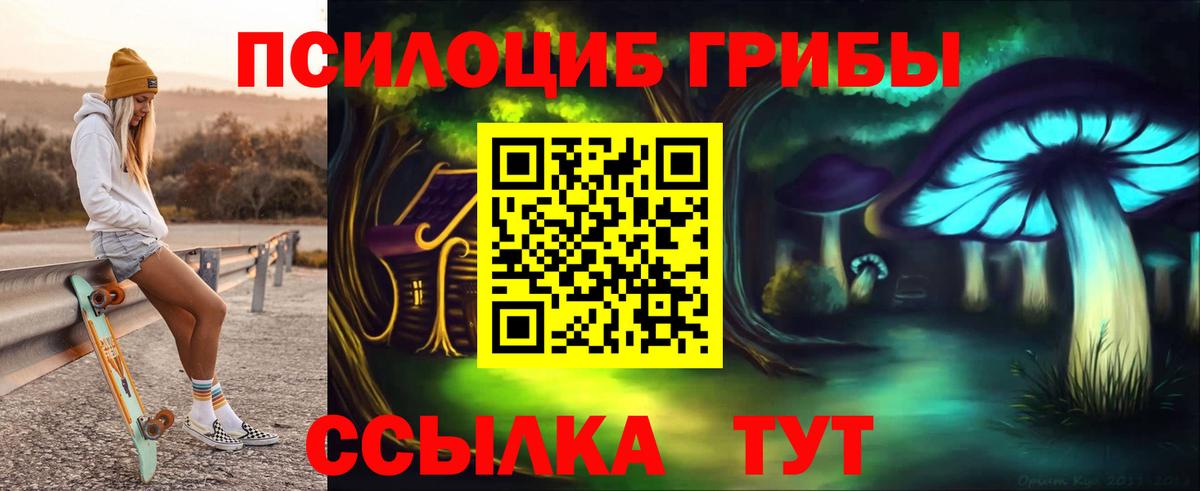 Галлюциногенные грибы Psilocybine cubensis  Вход с VPN  Братск 